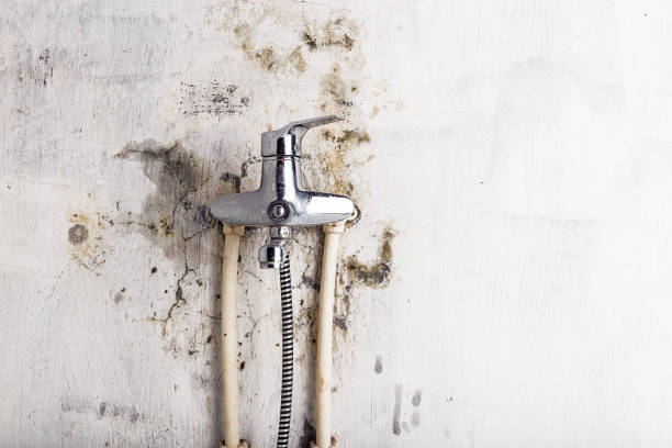 Best HVAC Mold Remediation in Mannington, WV