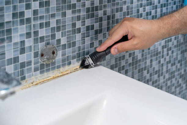 Best Bathroom Mold Remediation in Mannington, WV