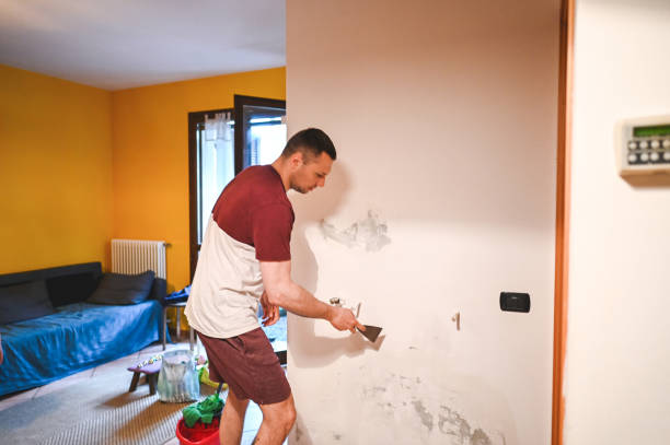 Best Mold Remediation for Specific Building Types in Mannington, WV